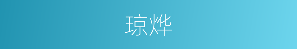 琼烨的同义词