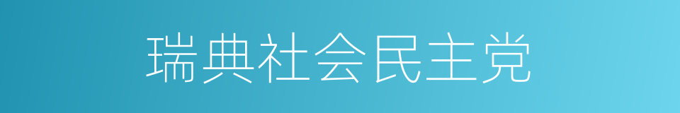 瑞典社会民主党的同义词