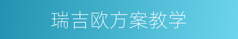 瑞吉欧方案教学的同义词