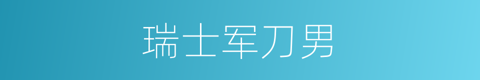 瑞士军刀男的同义词