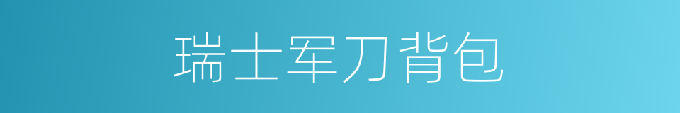瑞士军刀背包的同义词