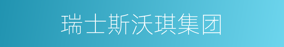 瑞士斯沃琪集团的同义词