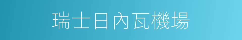 瑞士日內瓦機場的同義詞