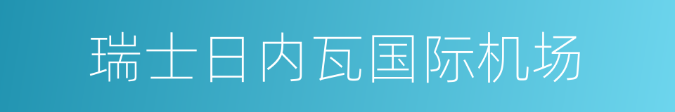 瑞士日内瓦国际机场的同义词