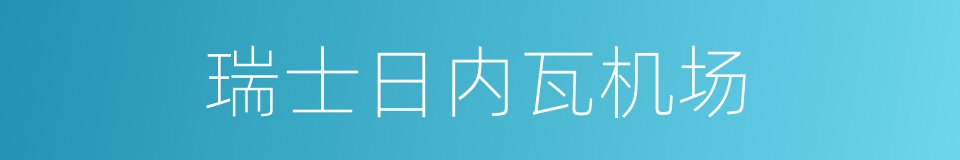 瑞士日内瓦机场的同义词