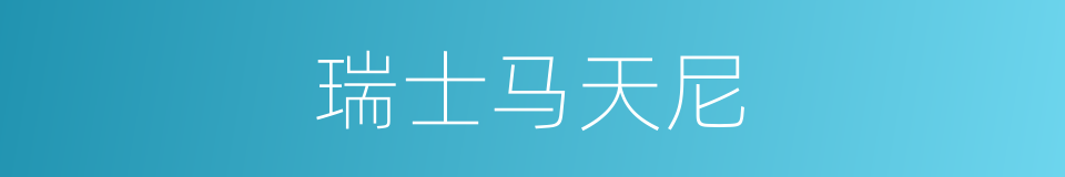 瑞士马天尼的同义词