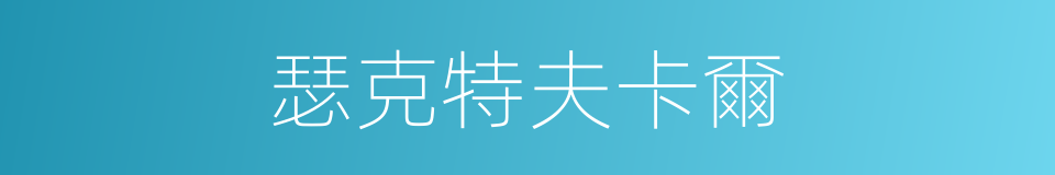 瑟克特夫卡爾的同義詞