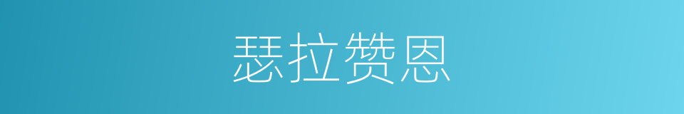 瑟拉赞恩的同义词