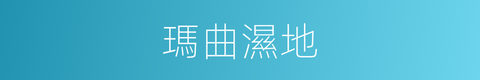 瑪曲濕地的同義詞