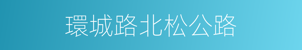 環城路北松公路的同義詞