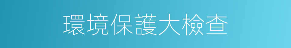 環境保護大檢查的同義詞