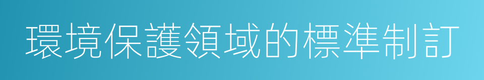 環境保護領域的標準制訂的同義詞