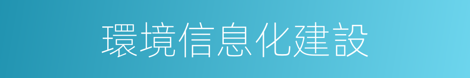 環境信息化建設的同義詞