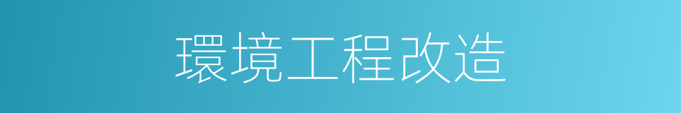 環境工程改造的同義詞