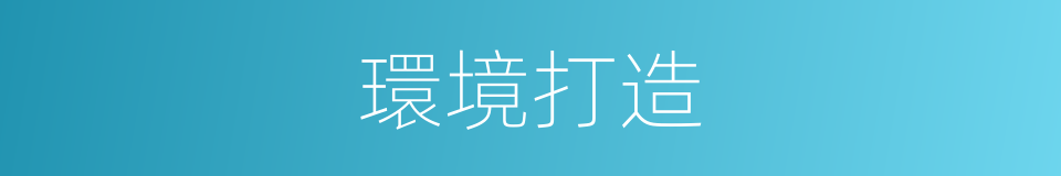 環境打造的意思
