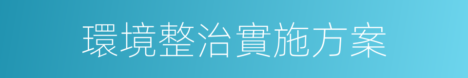 環境整治實施方案的同義詞