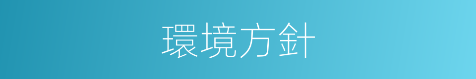 環境方針的同義詞