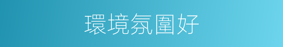 環境氛圍好的同義詞