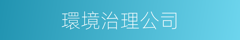 環境治理公司的同義詞