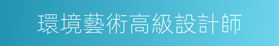 環境藝術高級設計師的同義詞