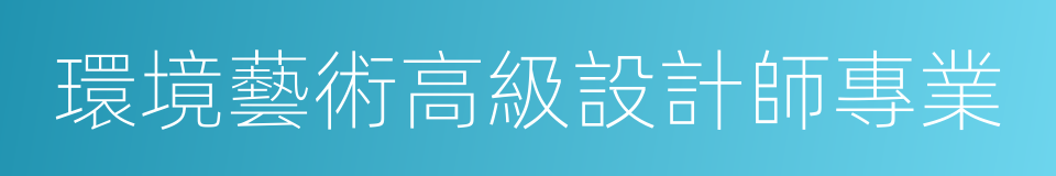 環境藝術高級設計師專業的同義詞