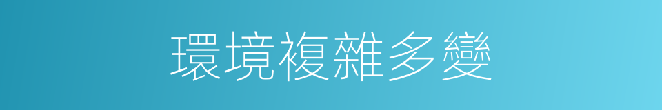 環境複雜多變的同義詞