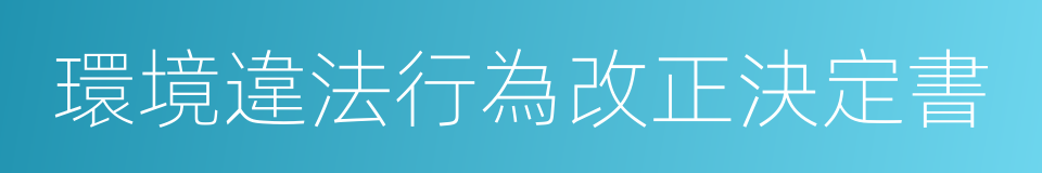 環境違法行為改正決定書的同義詞