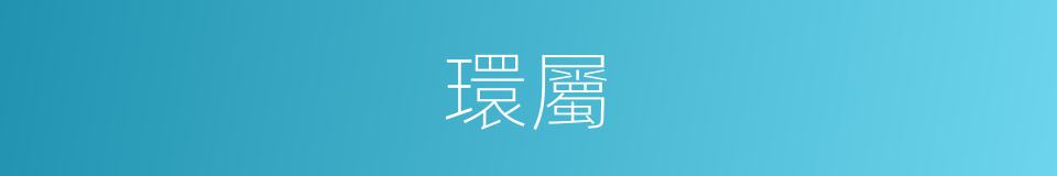 環屬的意思