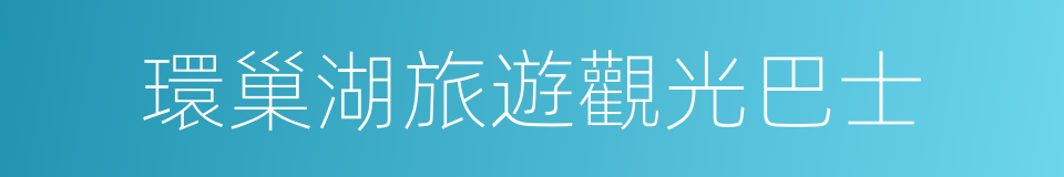 環巢湖旅遊觀光巴士的同義詞