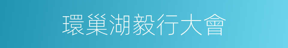 環巢湖毅行大會的同義詞