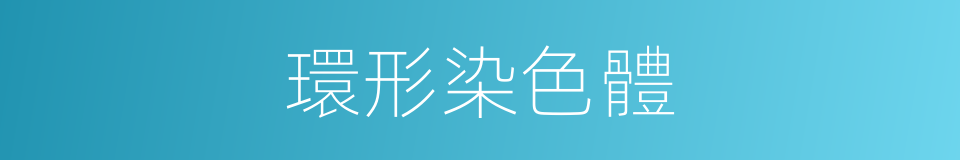 環形染色體的同義詞