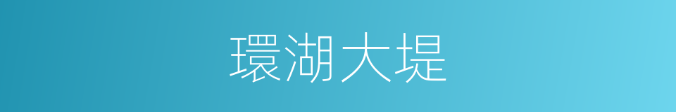 環湖大堤的同義詞