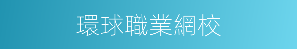 環球職業網校的同義詞