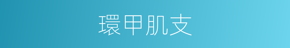 環甲肌支的同義詞