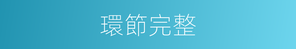 環節完整的同義詞