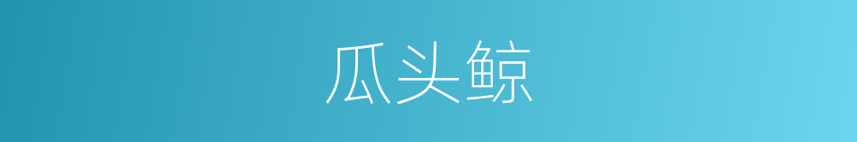 瓜头鲸的同义词