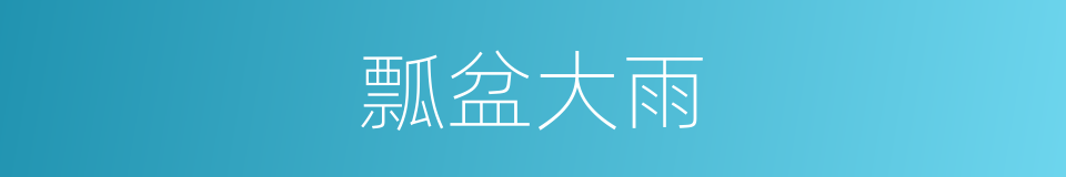 瓢盆大雨的同义词