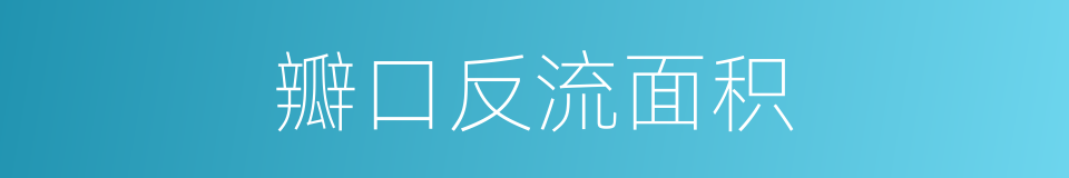 瓣口反流面积的同义词