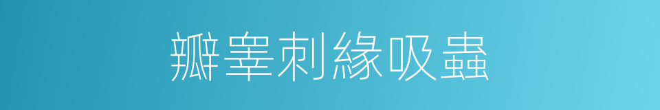 瓣睾刺緣吸蟲的同義詞