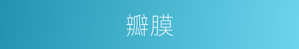 瓣膜的意思
