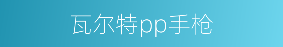 瓦尔特pp手枪的同义词