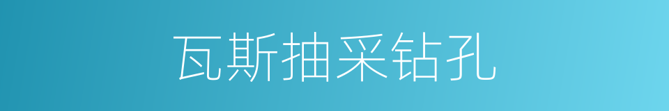 瓦斯抽采钻孔的同义词