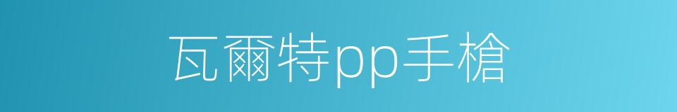 瓦爾特pp手槍的同義詞