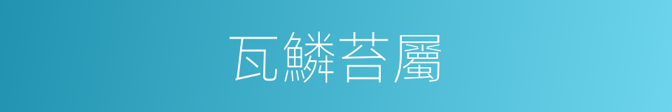 瓦鱗苔屬的同義詞