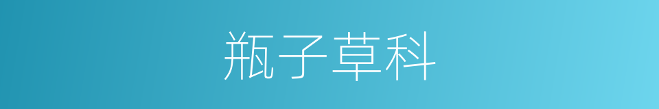 瓶子草科的同义词