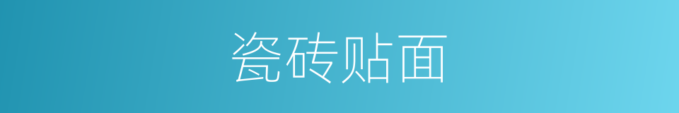 瓷砖贴面的同义词