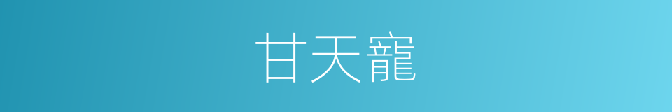 甘天寵的同義詞