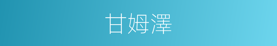 甘姆澤的同義詞