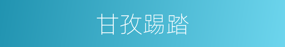 甘孜踢踏的同义词