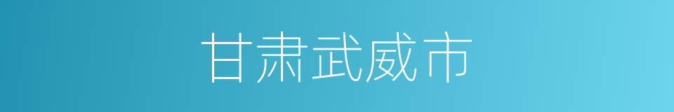 甘肃武威市的同义词